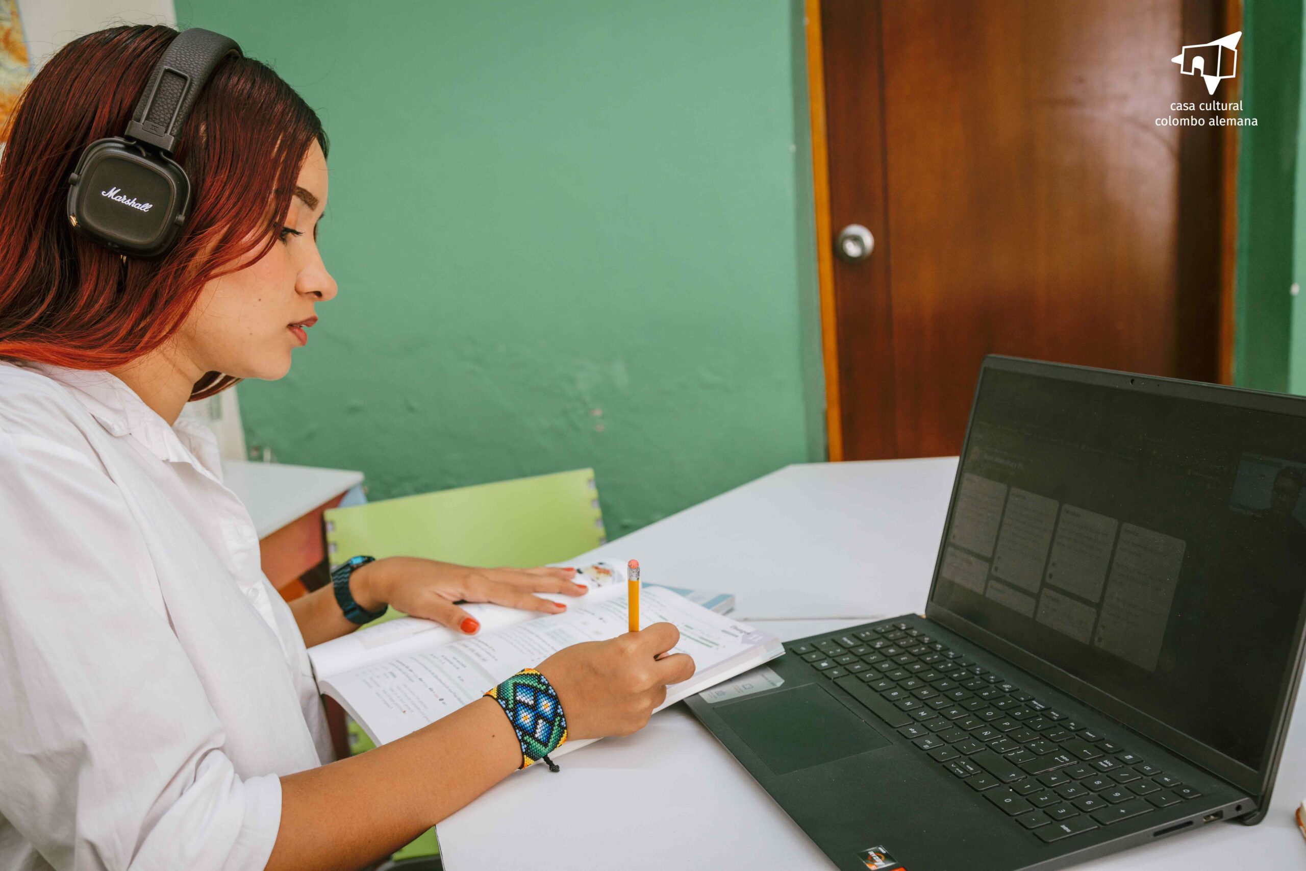Profesor DaF online